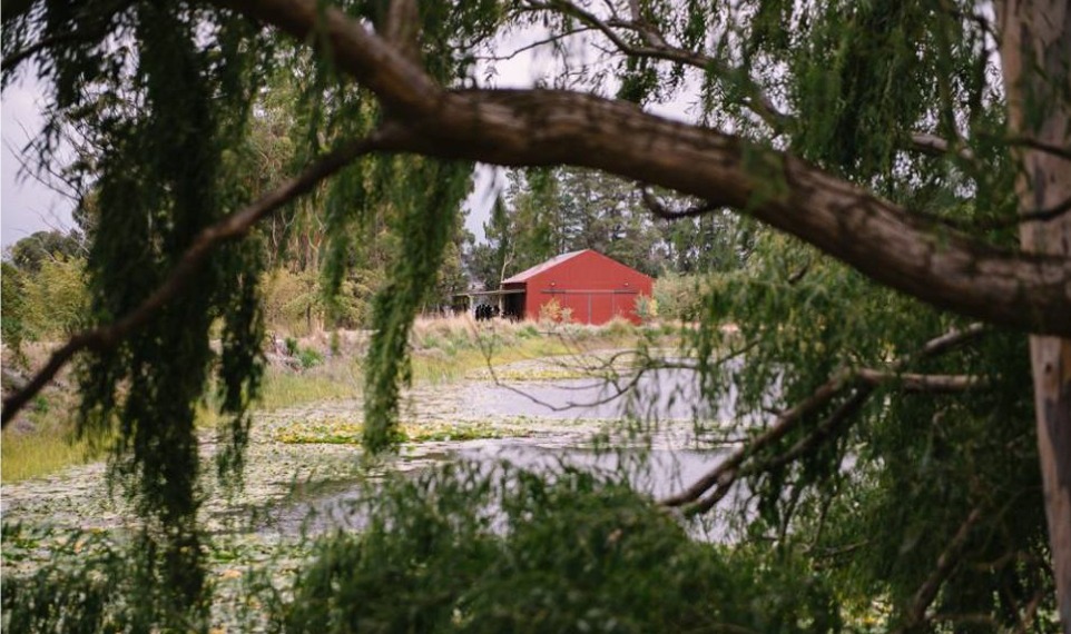 The red exterior of the Red Shed seen through trees at Lake Lodge
