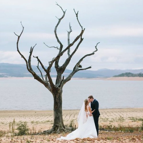Ceremony sign among the apple trees at Lake Lodge