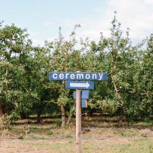 Wedding couple beside the Theewaterskloof Dam