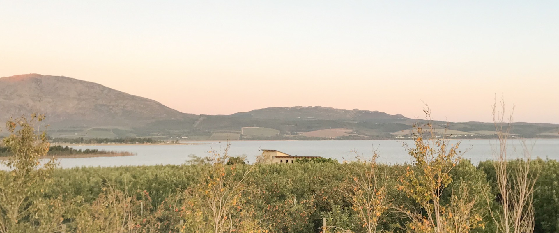The Overberg landscape near Ebuta Collection