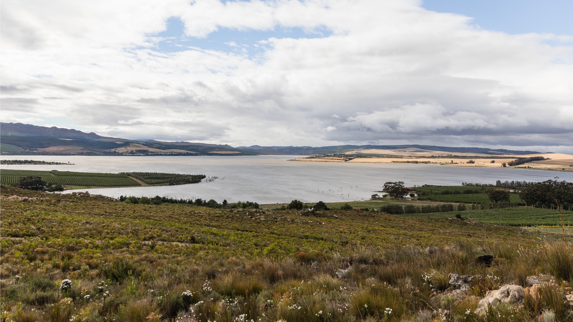 Wide view over Theewaterskloof Dam